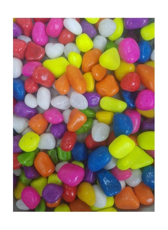 Afast Multicolor Pabbles/Stone for Garden, Plants, Aquarium & Home Decor, Marvels, Decoration, Fish Aquarium, Vase Filler, 0.5 KG -AAO1 - Image 2